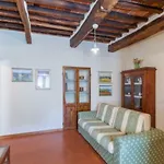 Agave * Seravezza