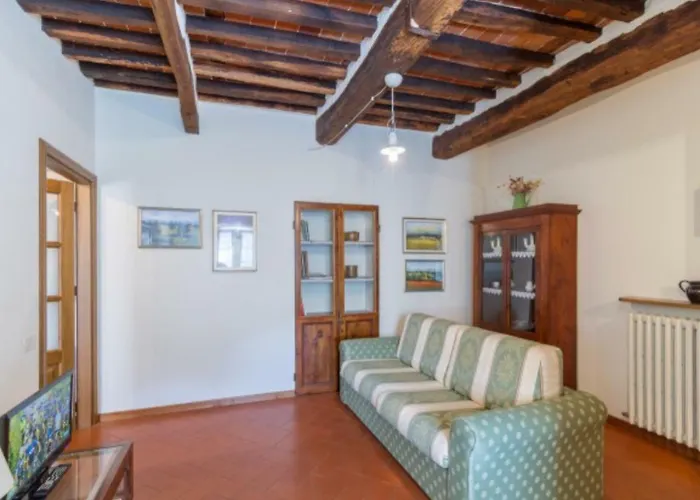 Agave * 세라베짜