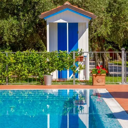 Agave セラヴェッツァ